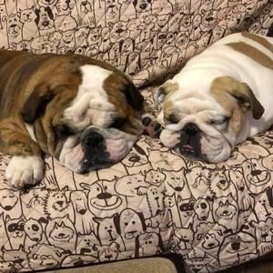 Meet your Posher, Betsy